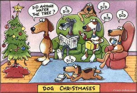 Funny Christmas photos and cartoons