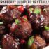 Amylu Cranberry Jalapeno Meatballs Recipe