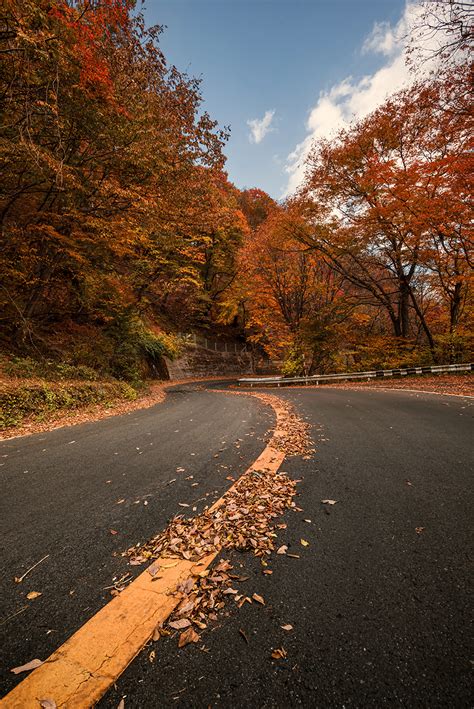 Colorful Autumn Road in Japan – Les Taylor Photography