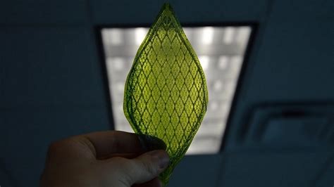 First synthetic biological leaf could allow humans to colonize space — RT US News