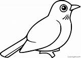Easy Cartoon Robin Coloring Pages  Coloring Cool sketch template