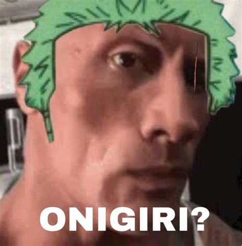 Zoro Meme | One Piece Funny