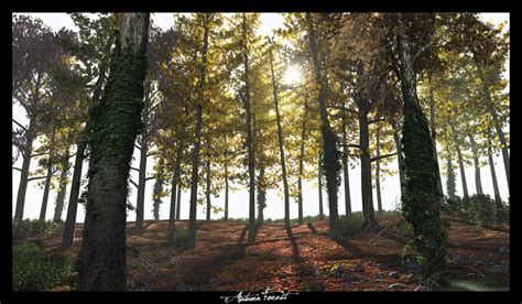 Autumn Forest by c-ramgfx on DeviantArt
