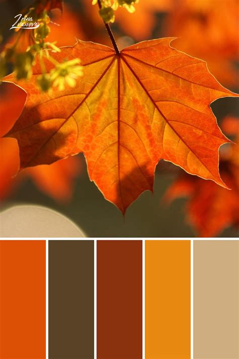 Color palette combinations design – Artofit