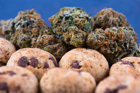 Cannabis 101 – Edibles Dosage: How Much is Too Much? | Colorado ...