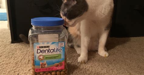 Purina DentaLife Adult Cat Treats Only $3.51 Shipped on Amazon (Regularly $8)