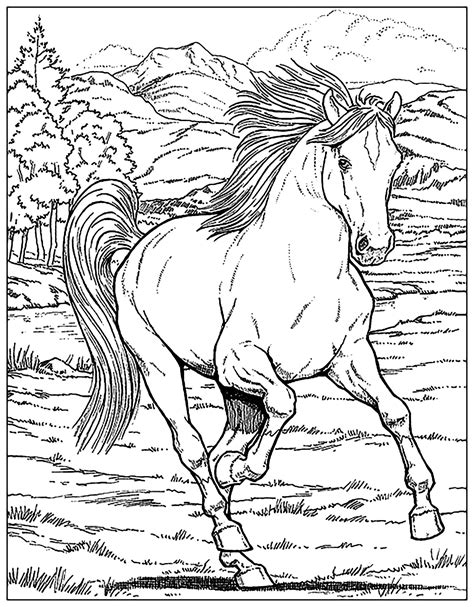 Free Horse Coloring Pages For Adults & Kids - COWGIRL Magazine