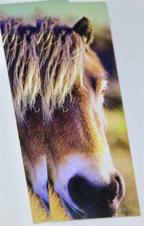 Horse Bookmark Horse Gift Wild Ponies Horse Photo Bookmark | Etsy