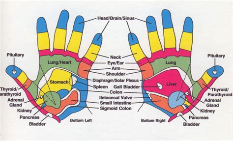 Reflexology Hand ChartRedmond Reflexology
