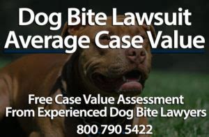 Average Settlement Value & Compensation for Dog Bite Case