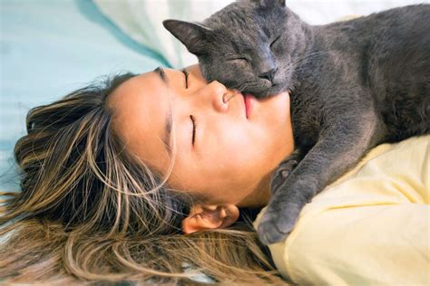 15 Gray Cat Breeds Worth Purring Over