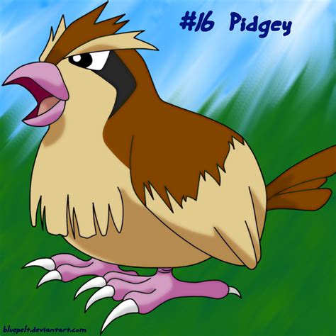 Pidgey by bluepelt on DeviantArt