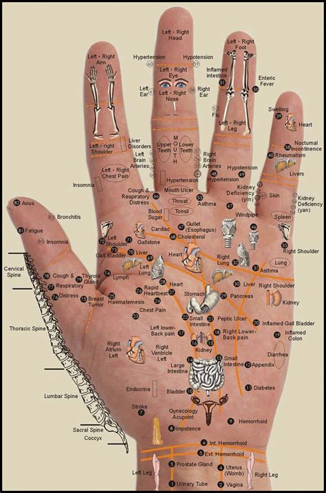 Free Printable Hand Reflexology Chart - Printable Templates