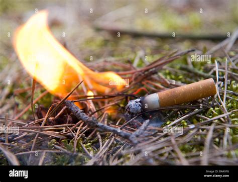 A cigarette sets the ground on fire in Muellrose, Germany, 9 May 2011. Brandenburg has called ...