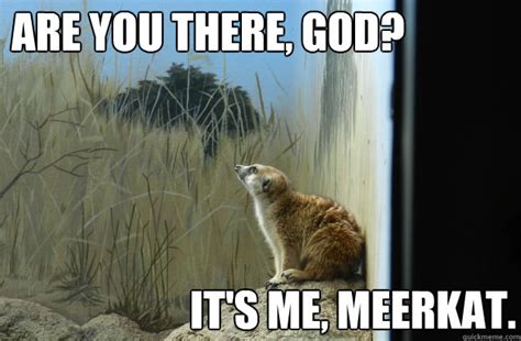 Religious Meerkat memes | quickmeme