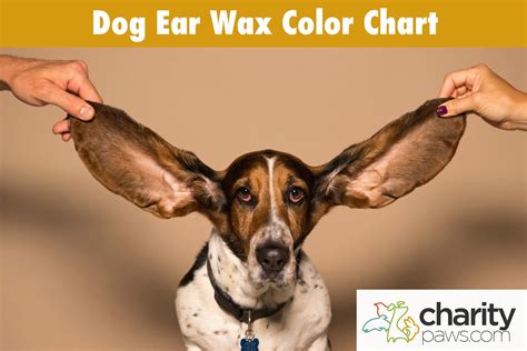 Dog Ear Wax Color Chart