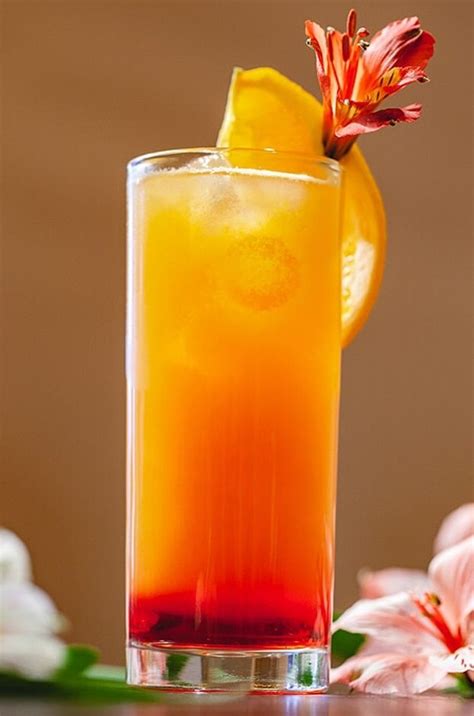 Ros Rum Runner Recipe - newbritawaterchiller