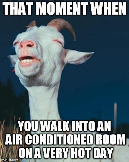 AC Working Principle: How Does An Air Conditioner (AC) Work? | Funny quotes, Humor, Funny pictures