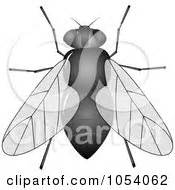 Clipart Colorful Insects - Royalty Free Vector Illustration by ...