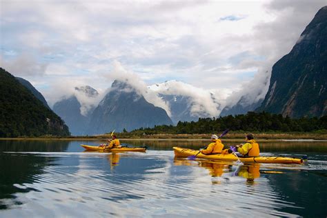 Milford Sound wildlife location in New Zealand, Australasia | Wildlife ...