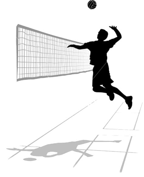 Download Volleyball Transparent Image HQ PNG Image | FreePNGImg