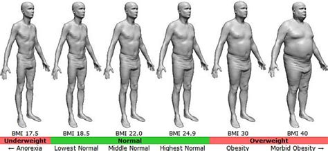 BMI calculator of Body Mass Index for men and women