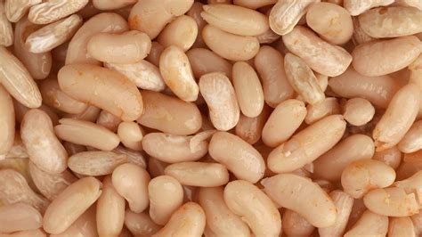 How to Cook Navy Beans: 12 Steps (with Pictures) - wikiHow