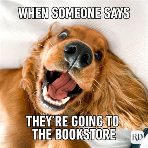 25 Book Memes That Book Lovers Will Understand All Too Well