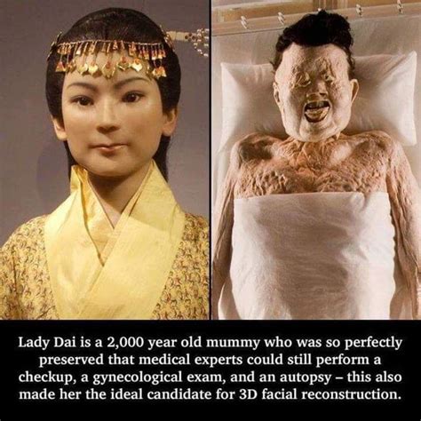 Lady Dai is a 2,000 year old mummy who was so perfectly preserved that medical experts could ...