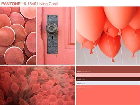 Pantone color of the year 2019 | Combinações de cores, Cores, Paleta de cores