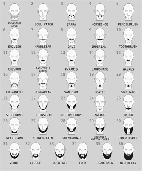 Facial hair - Wikipedia