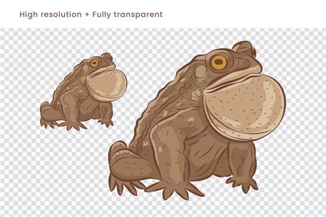 Toad Illustrations [AI, PNG] - DesignerCandies