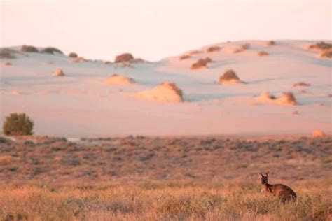 Mungo Outback & Conservation Journey, Victoria & New South Wales