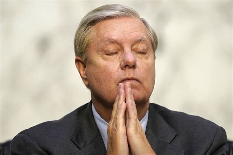 Lindsey Graham Begs Trump Legal Team to 'Prove' Their Claims As Lawsuits Fail in Court - Newsweek