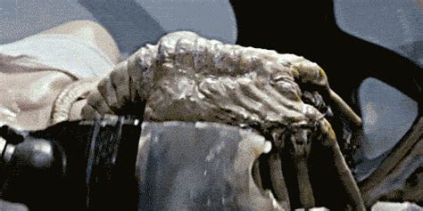 Page 2 for Facehugger GIFs - Primo GIF - Latest Animated GIFs