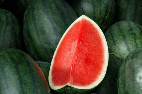 Where Do Watermelons Grow? » Top Facts & Tips