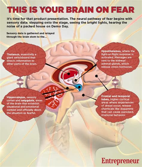 Reprogram Your Brain and Overcome Fear – Inspiration from Olympia LePoint