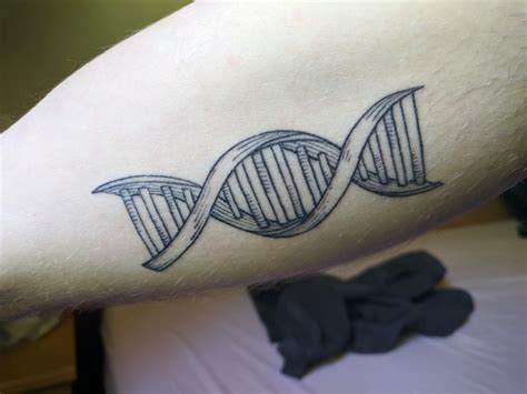 First tattoo! DNA helix by Ruben at brandstapeltattoo, Nijmegen. : r ...