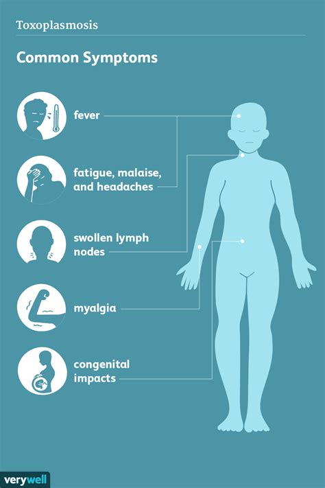 Toxoplasmosis: Signs, Symptoms, and Complications