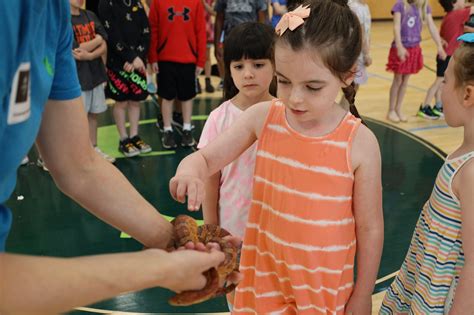 Earth Day Celebrations at Greenspring - Greenspring Montessori School