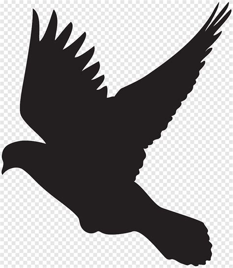 Free download | Silhouette of bird illustration, Columbidae Bird Flight ...