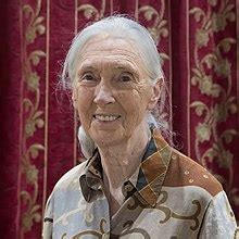 Jane Goodall - Wikipedia