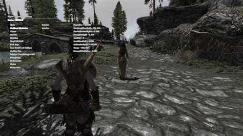 Skyrim Reloaded in game menu bug : skyrimmods