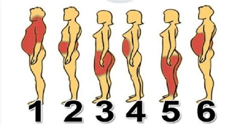 Different types of body fats and the fattening causes. Know what you can do to reduce body fats ...