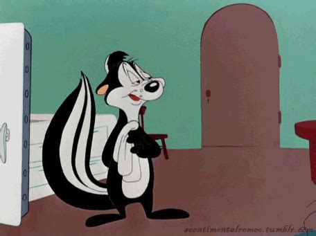 Looney Tunes Wb GIF - Find & Share on GIPHY