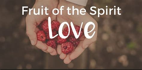 The Fruit Of The Holy Spirit: What Is Love? | Osprey Observer