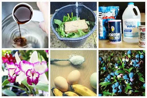 11 Homemade Fertilizer Recipes For Gardeners - Ideal Me