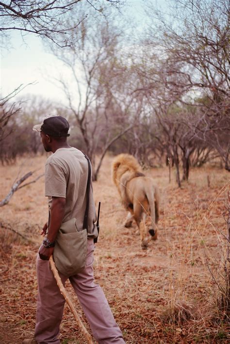 Walking With Lions In South Africa | SHESOMAJOR5 - SHESOMAJOR