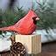 Amazon.com: INF-STAR Handmade Small Wood Female Northern Cardinal Figurine for Home Decor, 3.9 ...