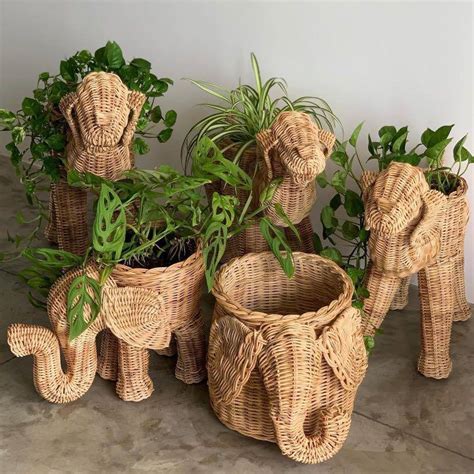 Native Planters Wicker Basket Planter Rattan Planter Basket Storage Plant Pots Plantita Plant ...